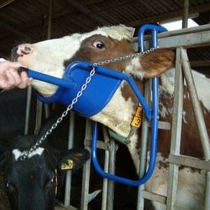 Vink E-Z Cow Headlift and Lock for Headlocks